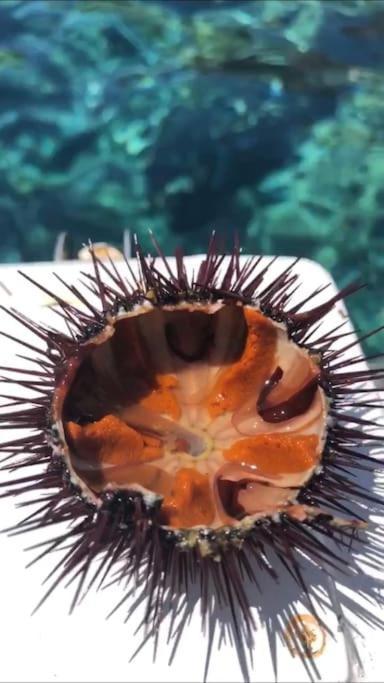 Appartamento Al Centro Di Ustica Isola di Ustica Exterior foto